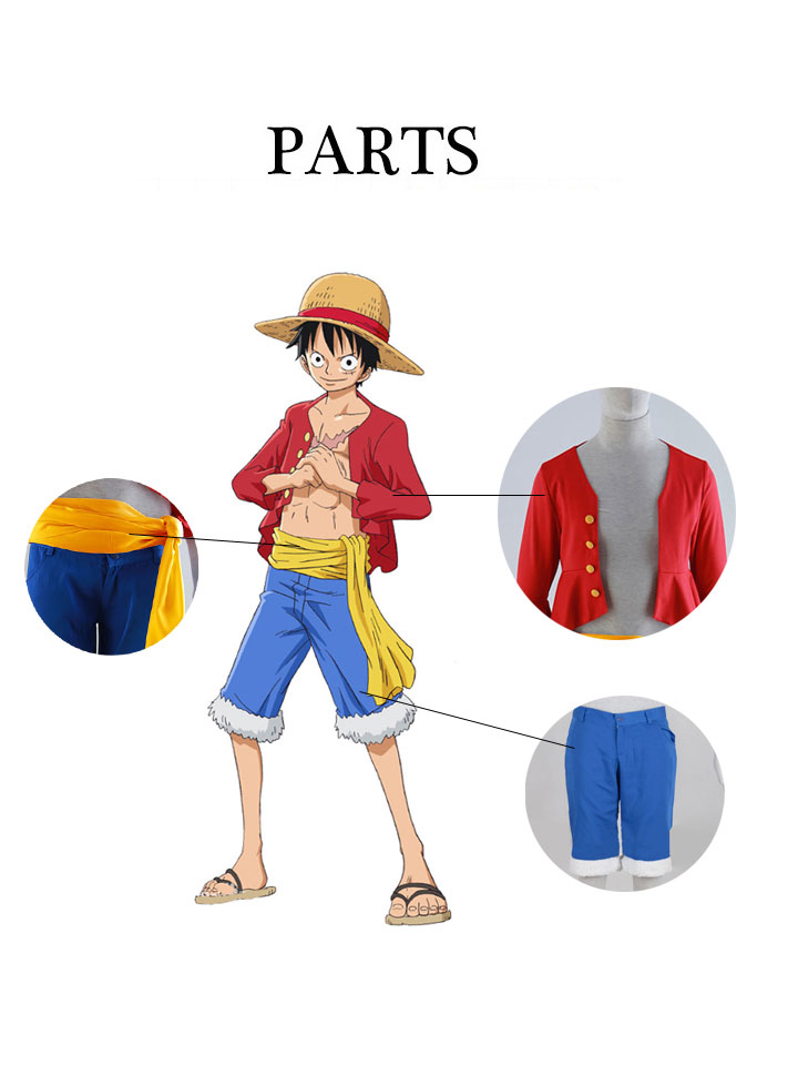 One Piece Luffy Cosplay  Luffy cosplay, One piece cartoon, One