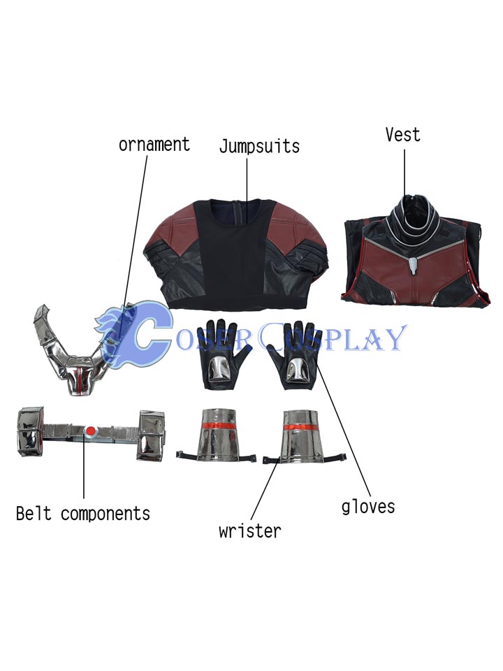 Ant Man and the Wasp Cosplay Costume